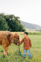 Load image into Gallery viewer, Fall Plaid Shacket